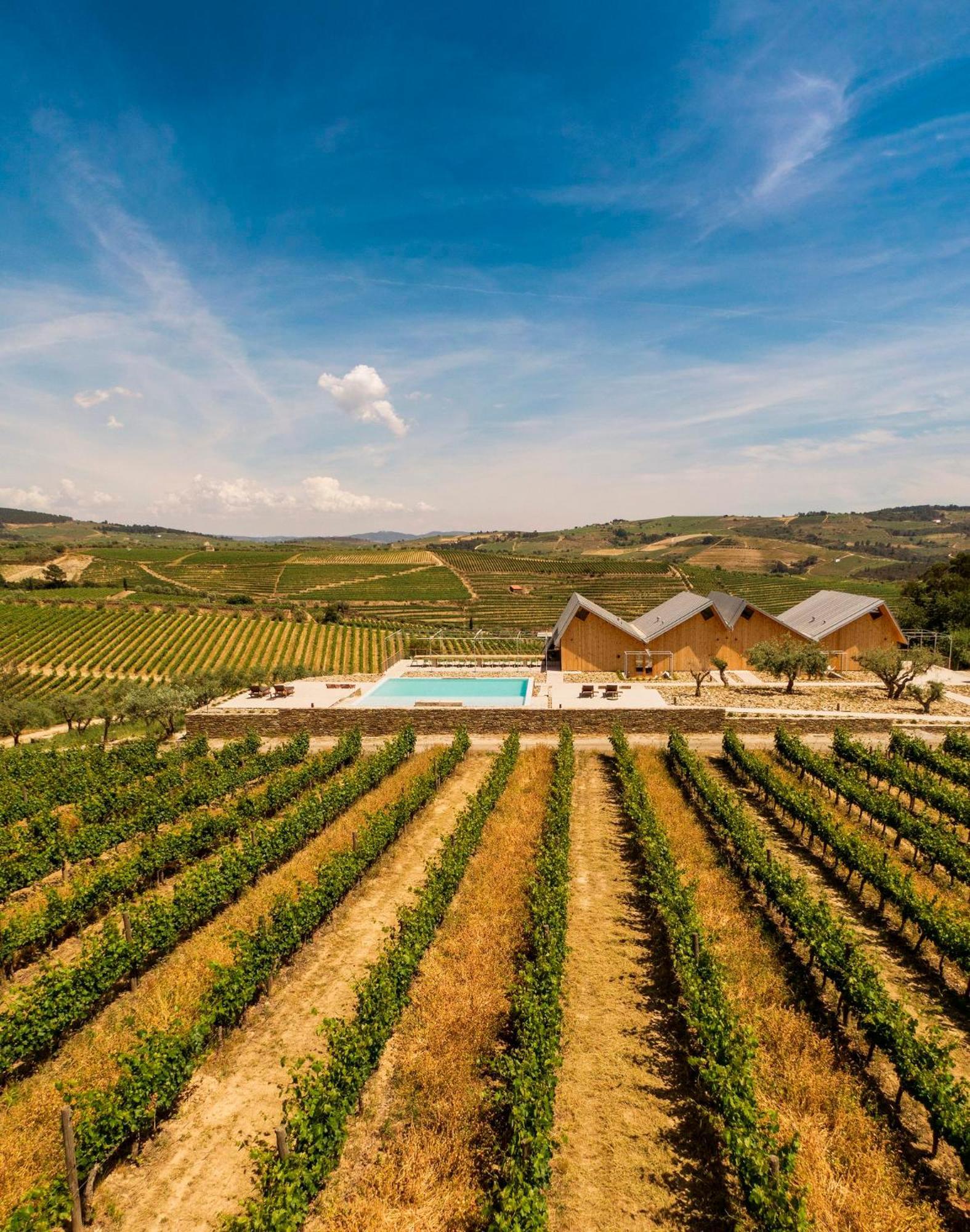 Villa Quinta Da Faisca - Agro Turismo Favaios Esterno foto