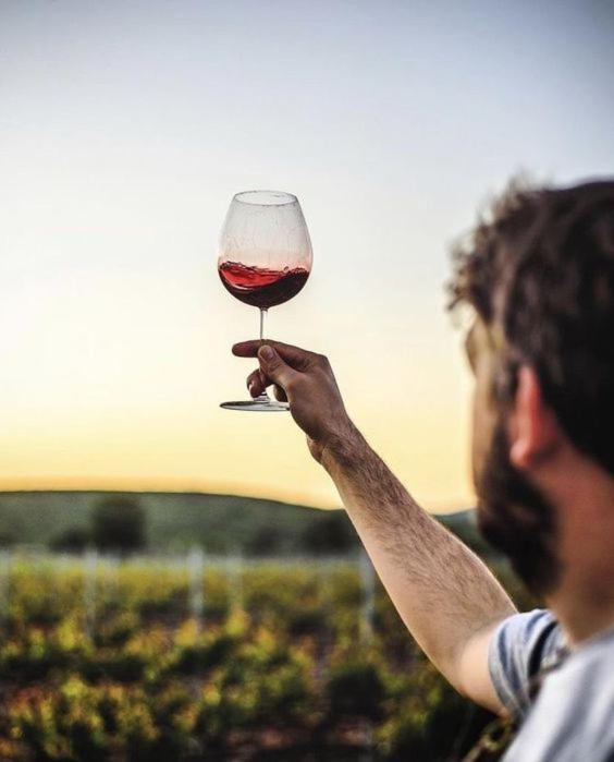 Villa Quinta Da Faisca - Agro Turismo Favaios Esterno foto